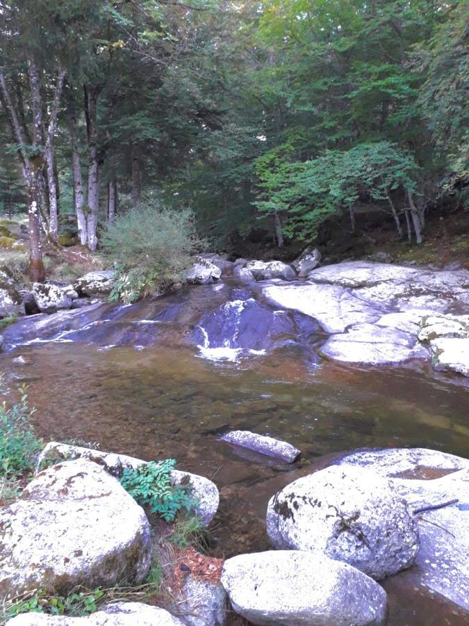 Le Pont Du Moulin Hotel Saint-Sauveur-Camprieu ภายนอก รูปภาพ